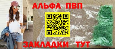 СК Гатчина