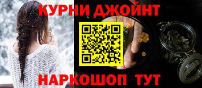 СК Гатчина