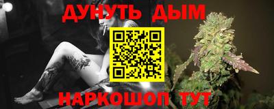 СК Гатчина