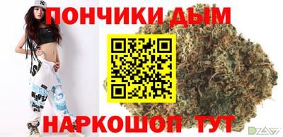 СК Гатчина