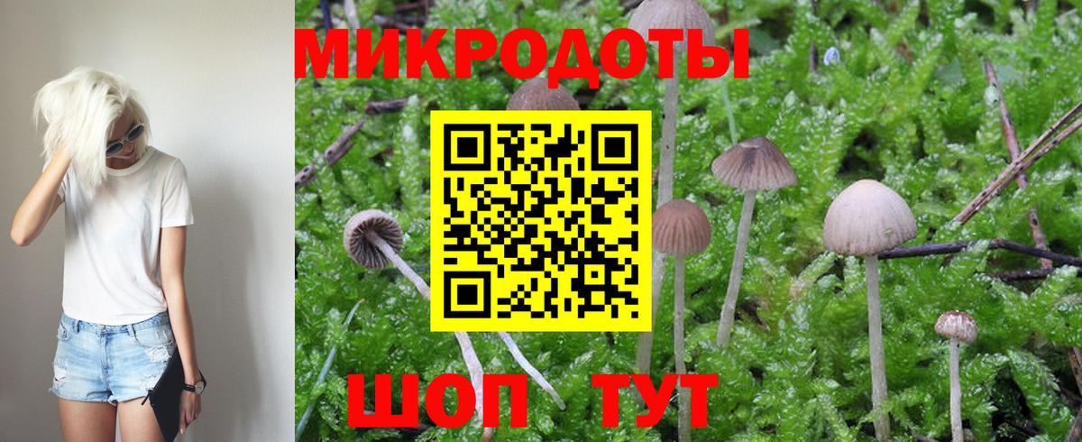 Моздок  Псилоцибиновые грибы Psilocybe  Вход с VPN 
